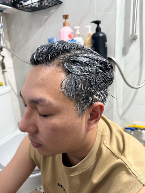 試用
